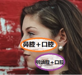 f:id:gilusu81:20200607213632j:plain