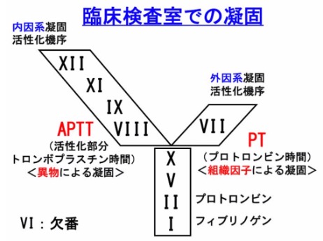 f:id:gimresi:20200208144124j:plain f:id:gimresi:20200208144124j:plain