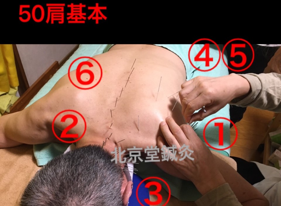 f:id:gin1245tan:20211118113847j:plain