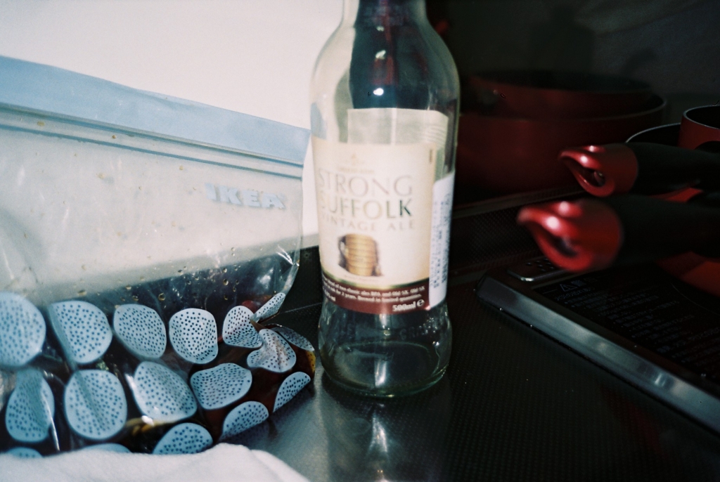 Rollei Prego MICRON - ゆったりフィルム