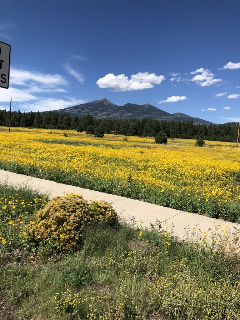 f:id:ginginyoshitaka:20180907030002j:plain