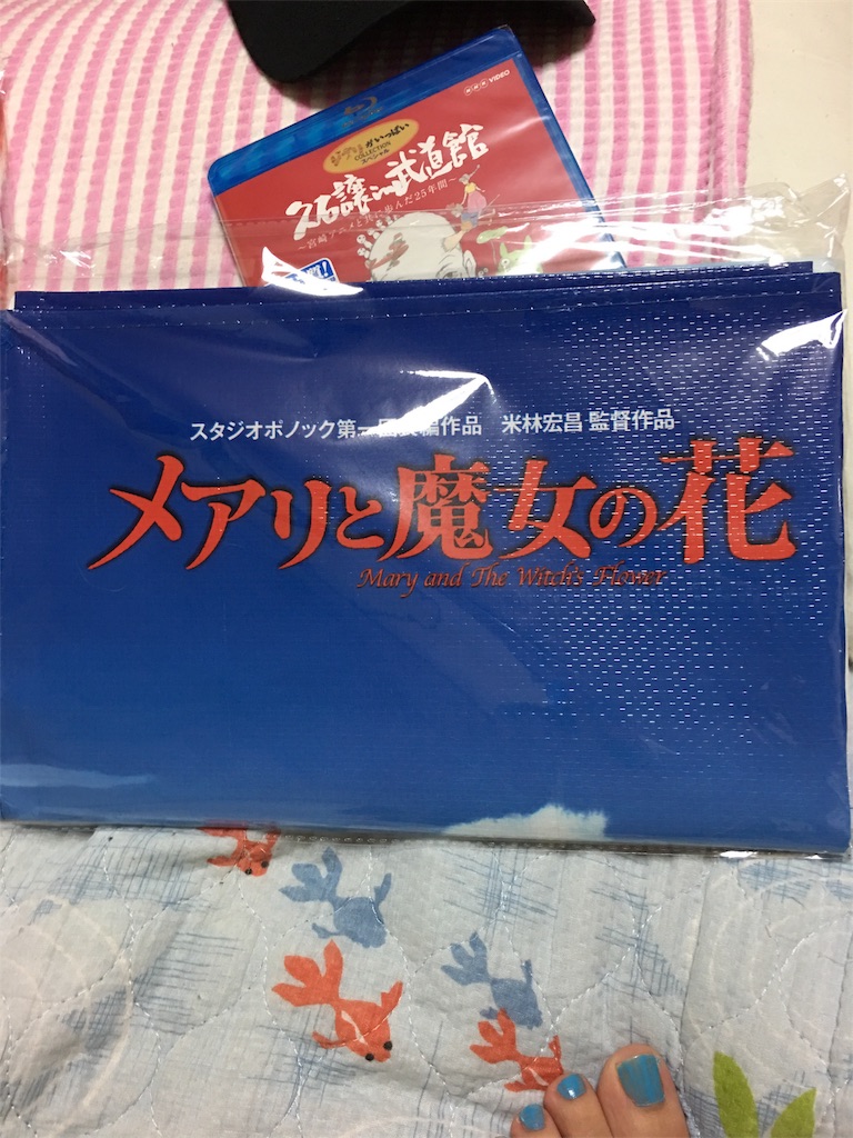 f:id:ginirorion:20170714073839j:image