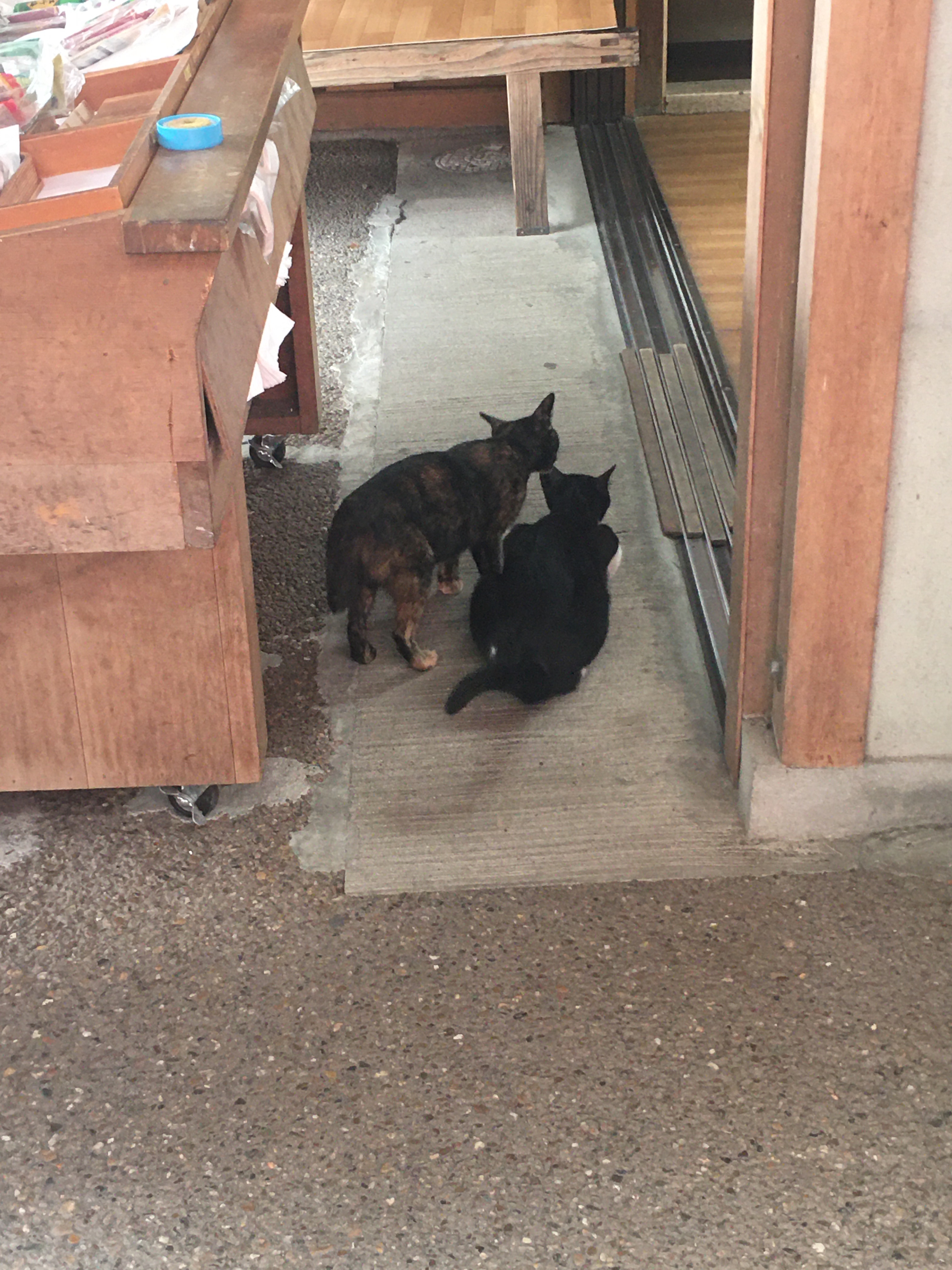 f:id:ginirorion:20210928172034j:image