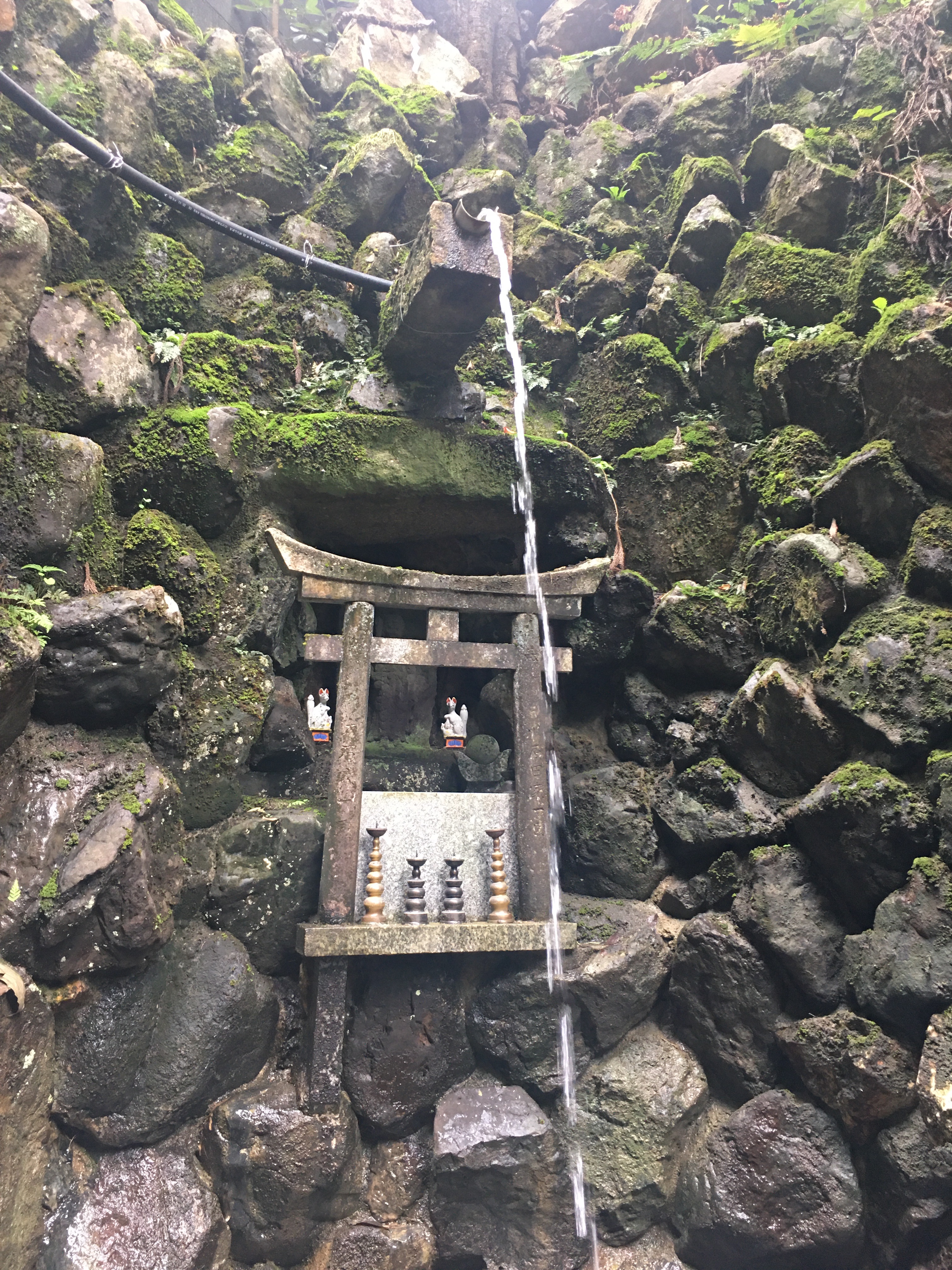 f:id:ginirorion:20210928172100j:image