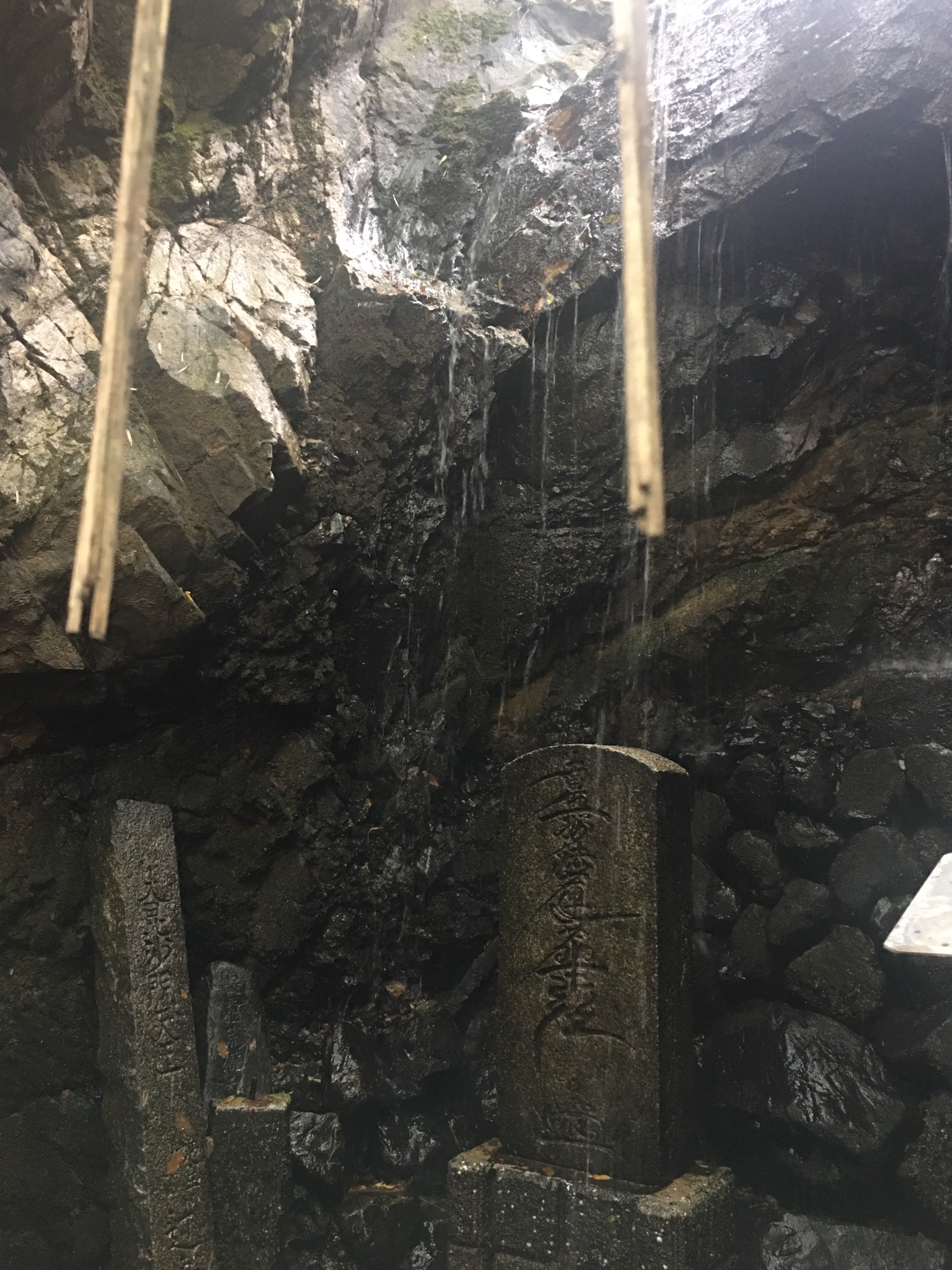 f:id:ginirorion:20210928172412j:image