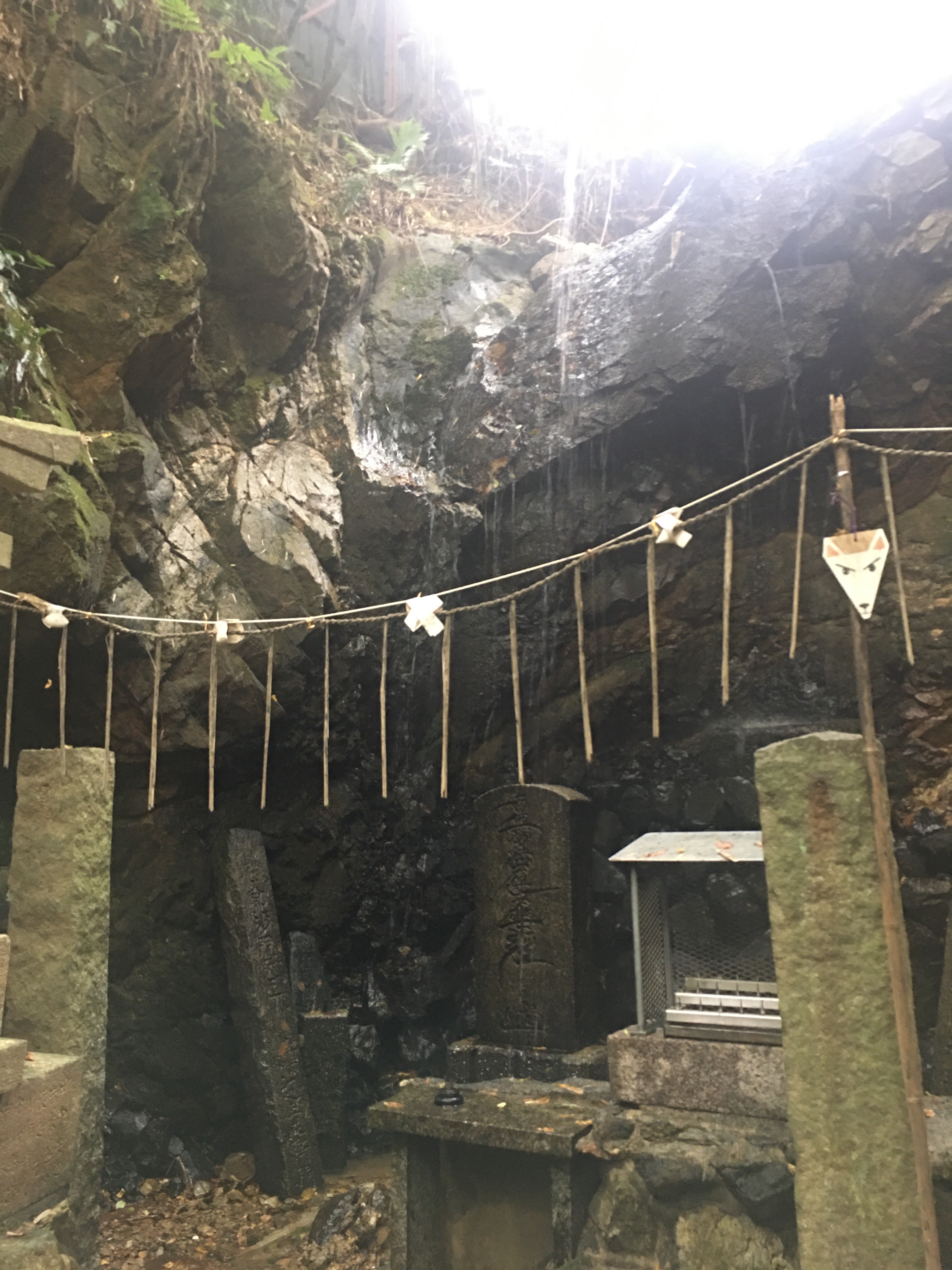 f:id:ginirorion:20210928172432j:image