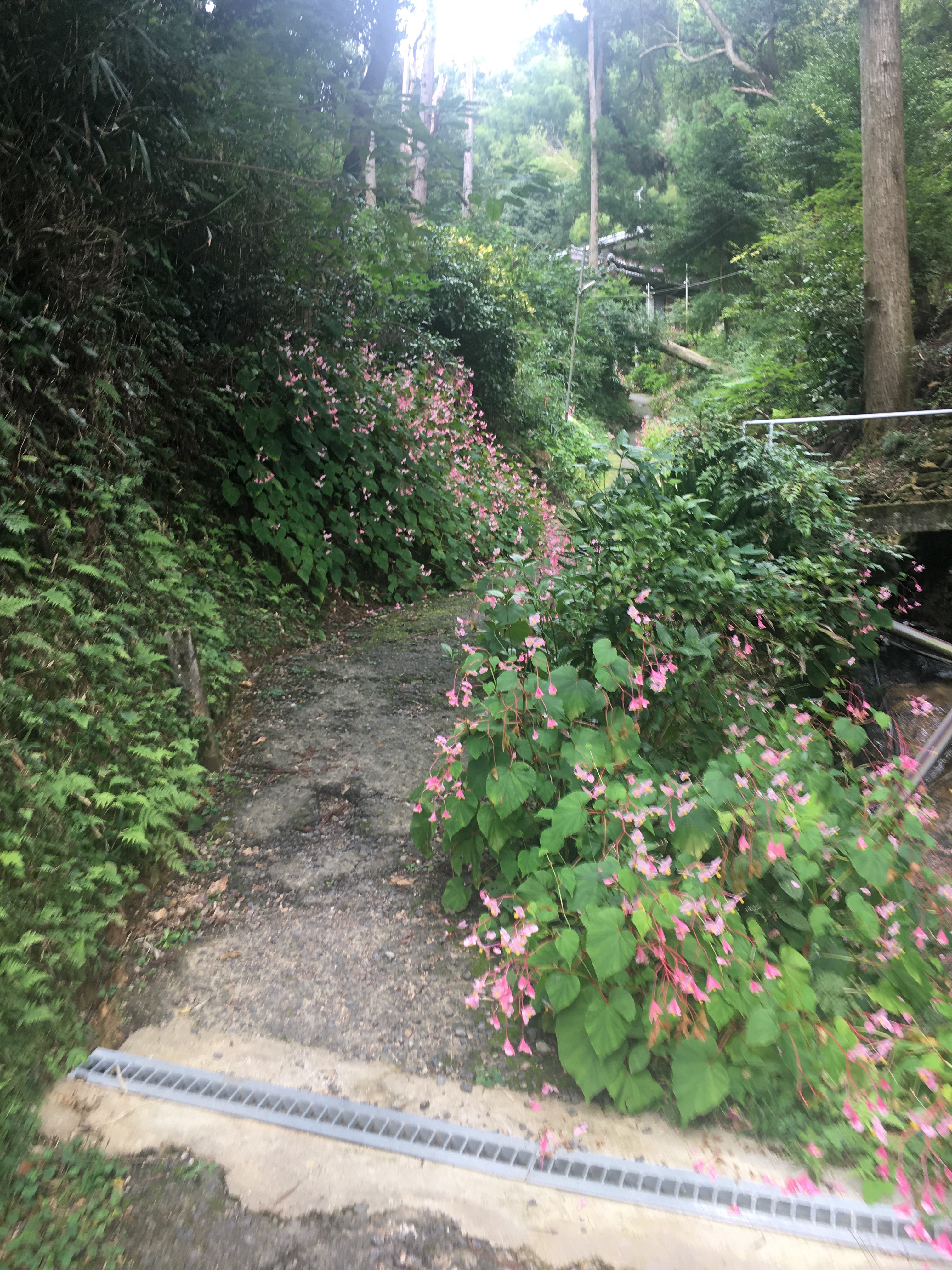 f:id:ginirorion:20210928172451j:image