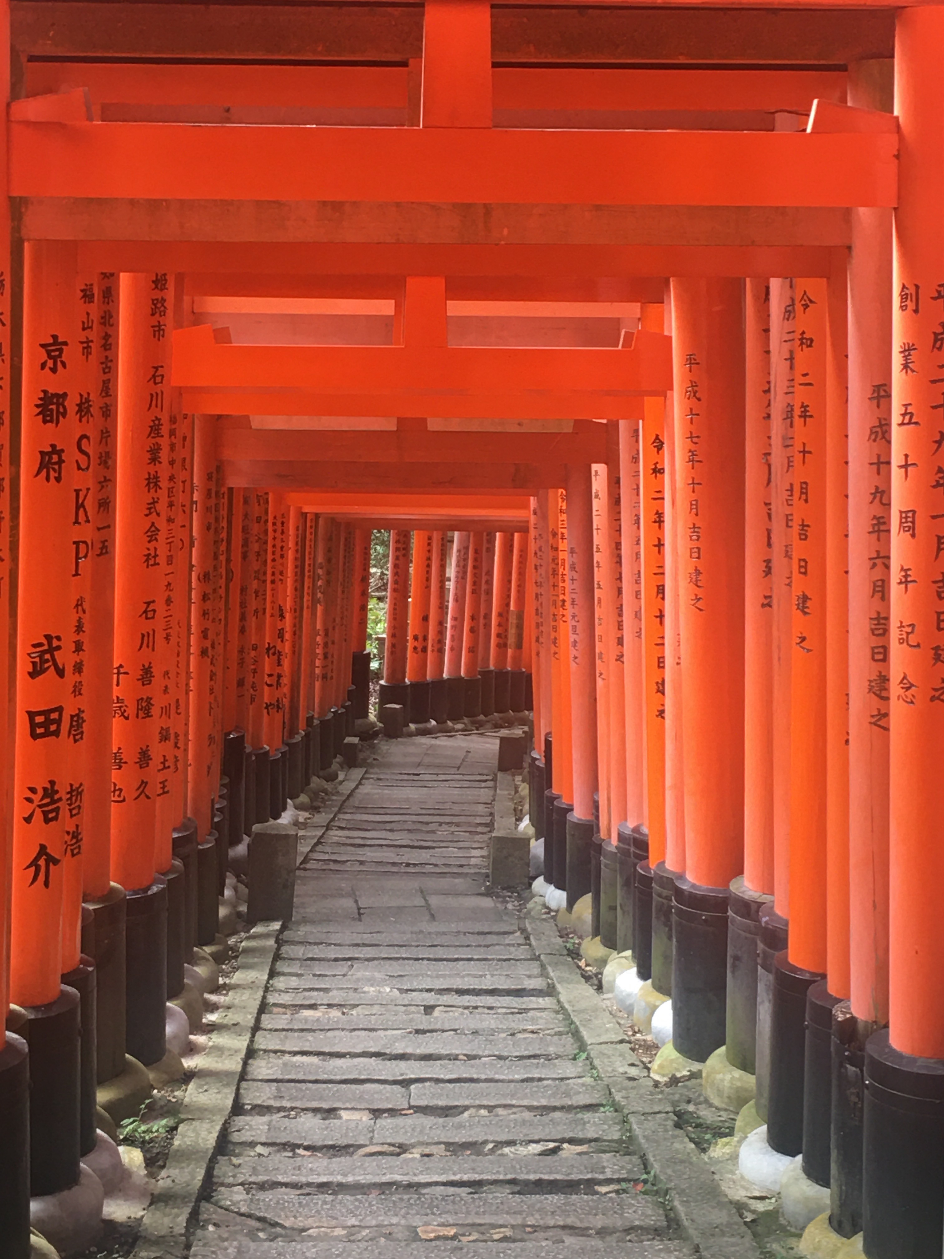 f:id:ginirorion:20210928172552j:image