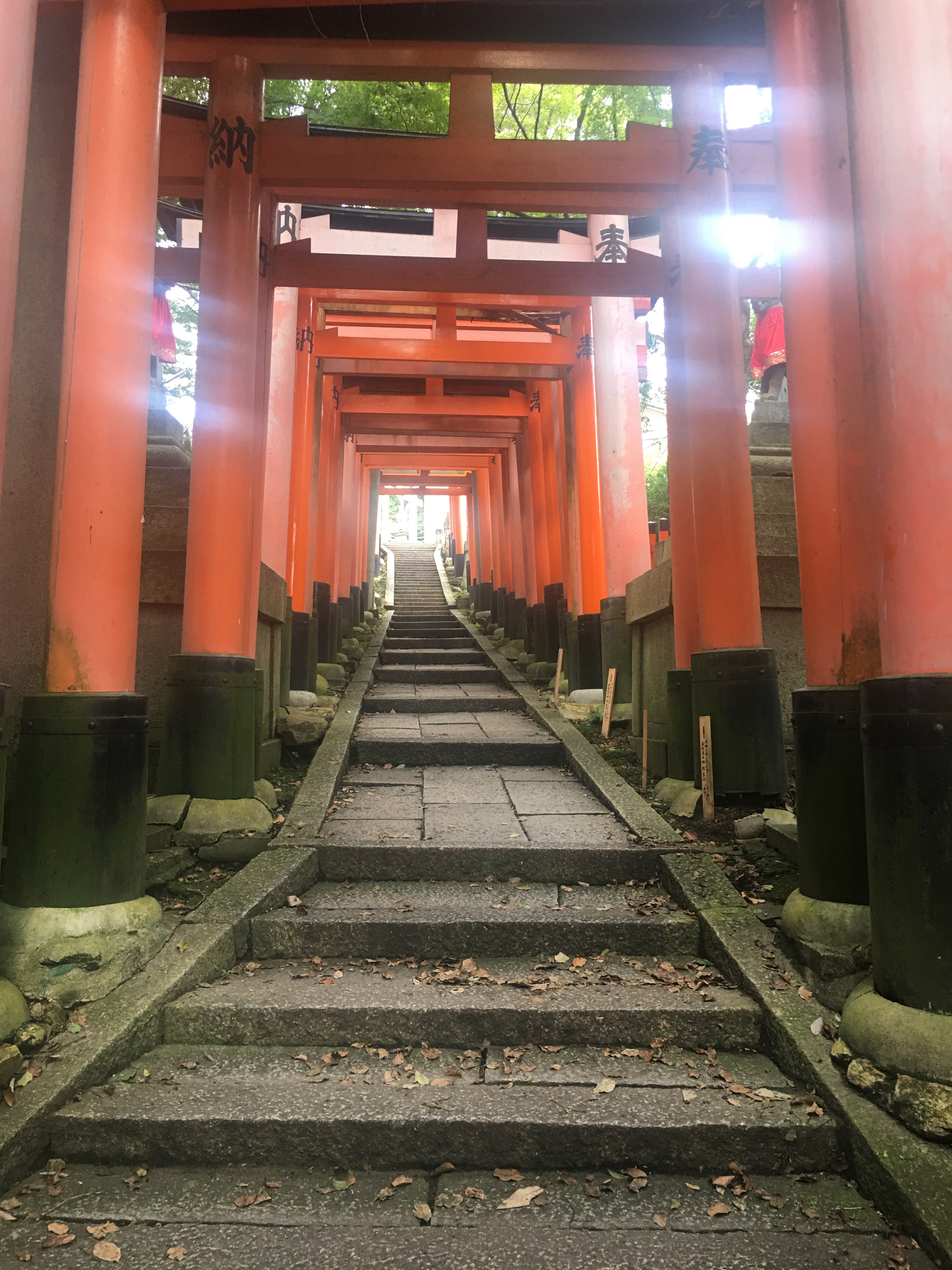 f:id:ginirorion:20210928172609j:image