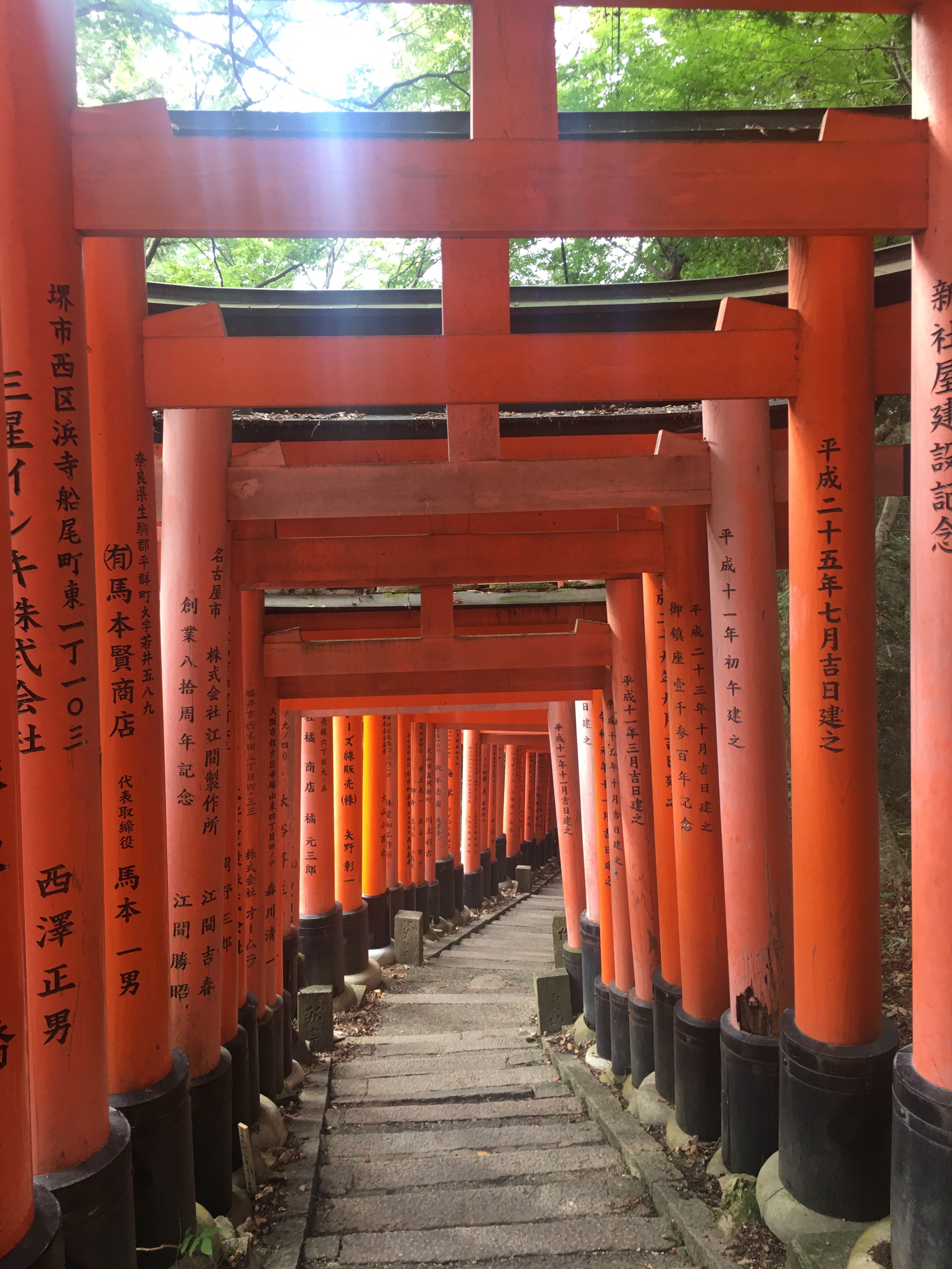 f:id:ginirorion:20210928172626j:image