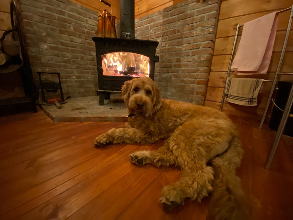 犬と薪ストーブ 犬と山小屋と薪ストーブ