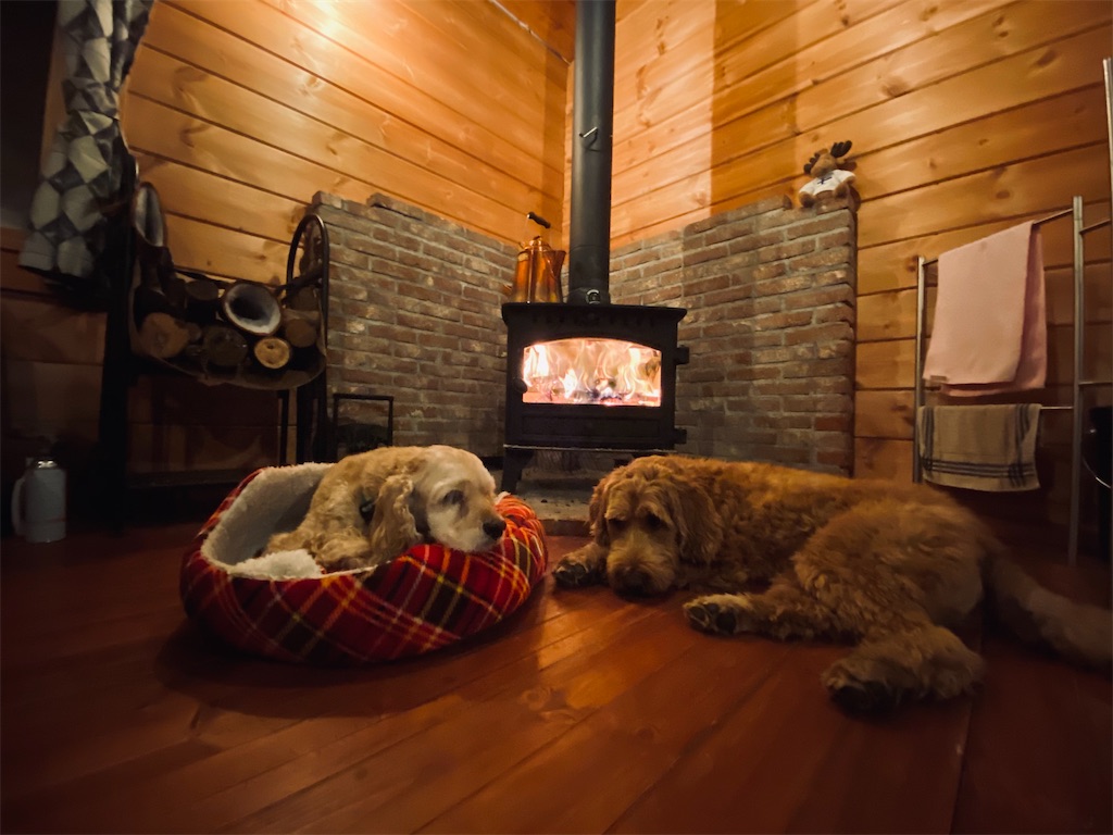 犬と薪ストーブ 犬と山小屋と薪ストーブ
