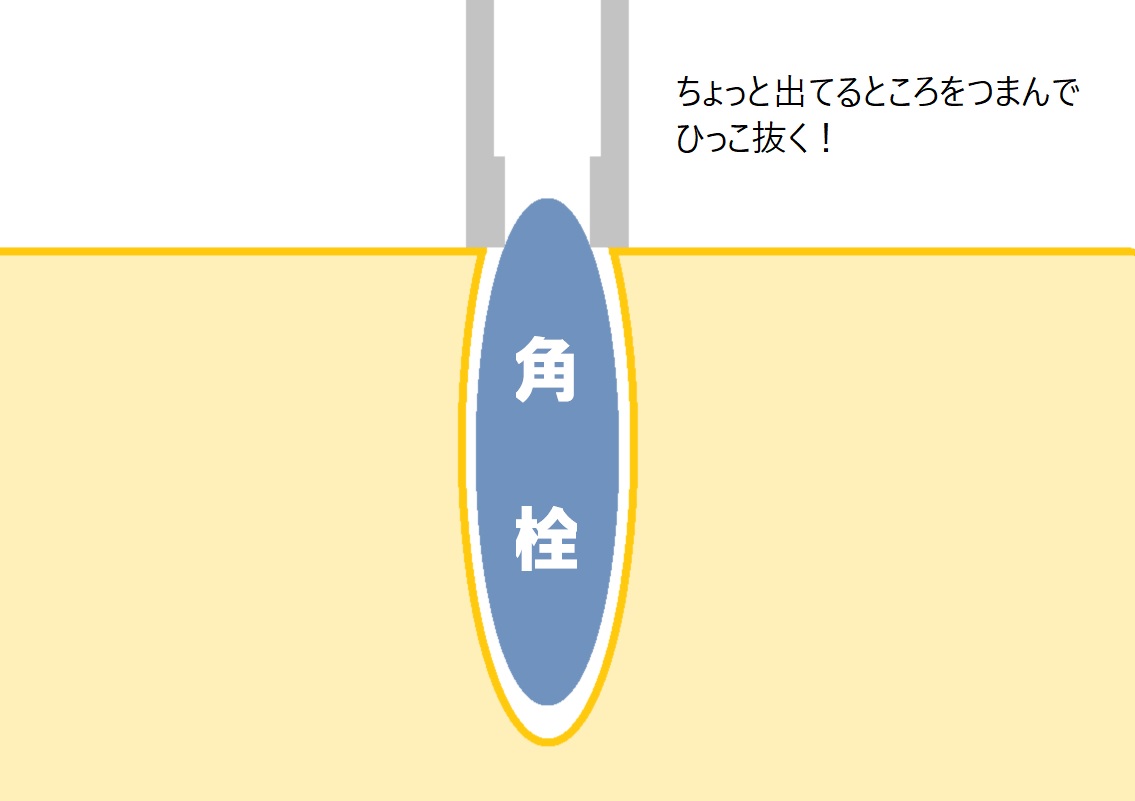 f:id:ginkuro:20211004133039j:plain