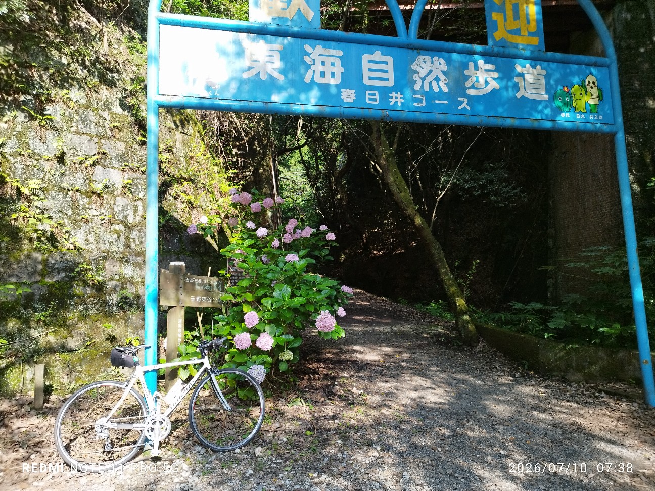 f:id:ginnan1949:20260710102003j:image