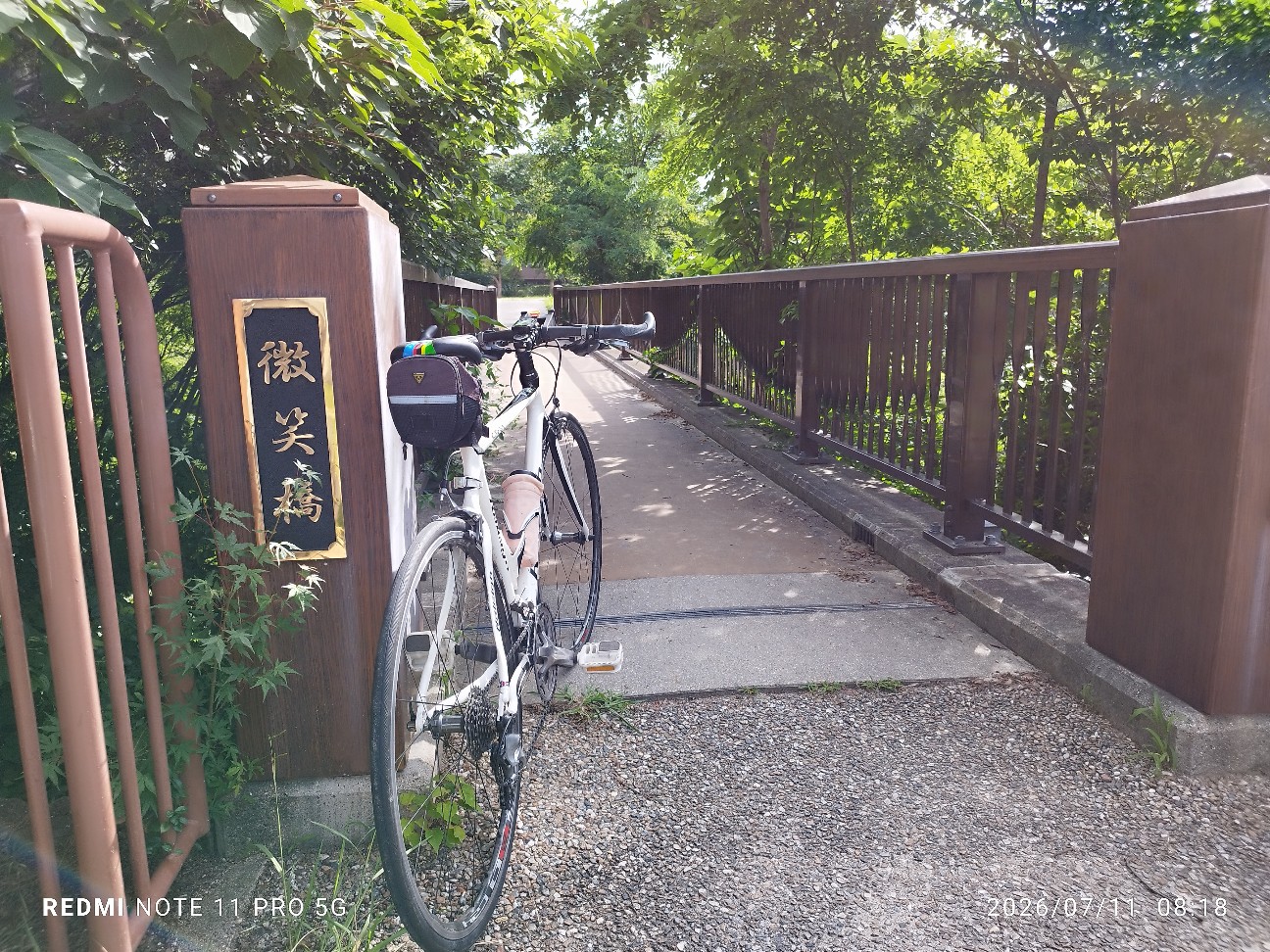 f:id:ginnan1949:20260711092359j:image
