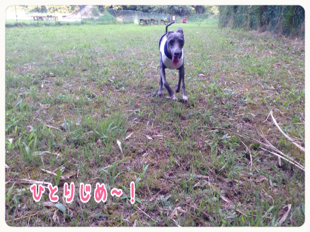 f:id:gino-ig:20150804234303j:image f:id:gino-ig:20150804234303j:image