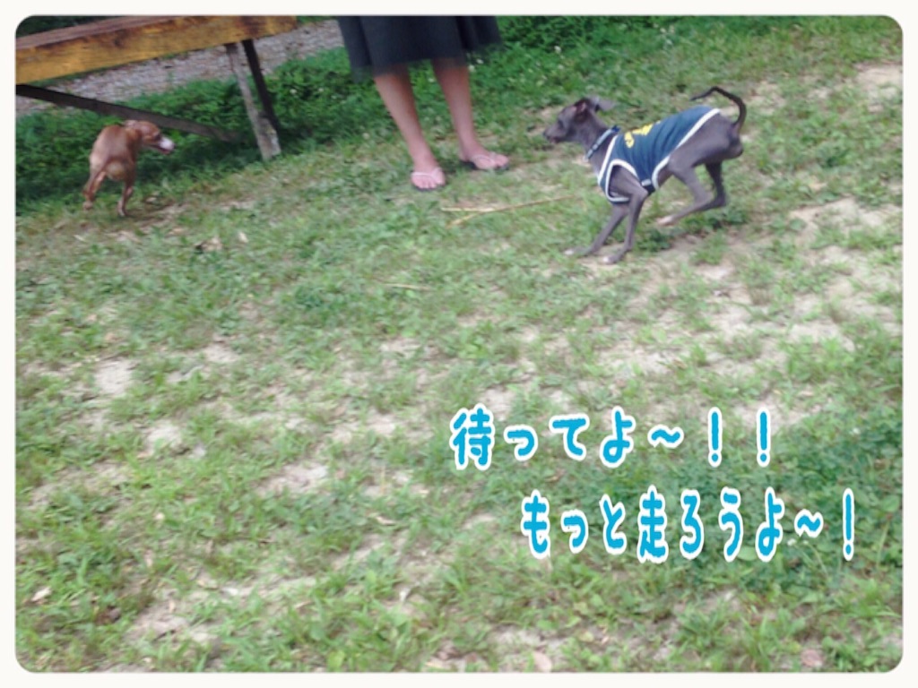 f:id:gino-ig:20150807154311j:image f:id:gino-ig:20150807154311j:image