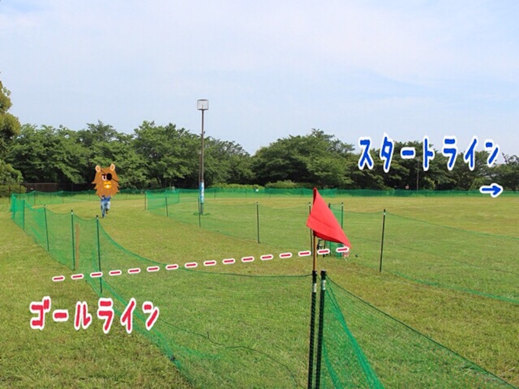 f:id:gino-ig:20160531003826j:image f:id:gino-ig:20160531003826j:image