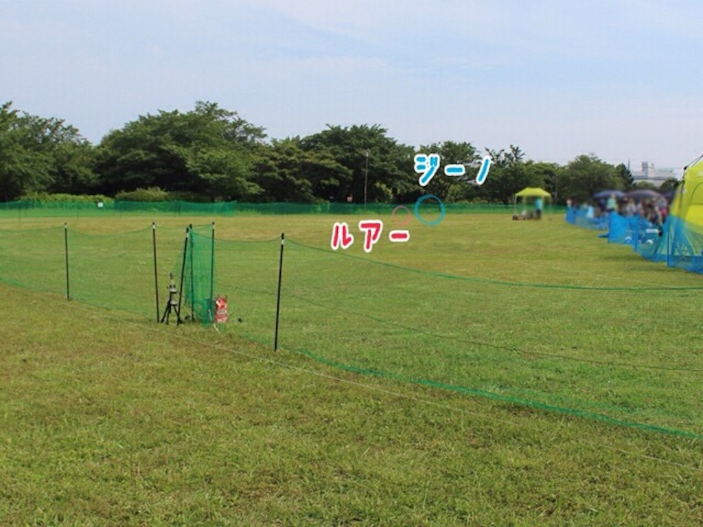 f:id:gino-ig:20160531003924j:image f:id:gino-ig:20160531003924j:image