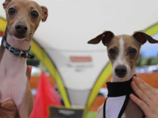 f:id:gino-ig:20160704235958j:plain f:id:gino-ig:20160704235958j:plain