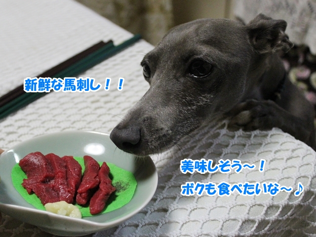 f:id:gino-ig:20160803002337j:plain