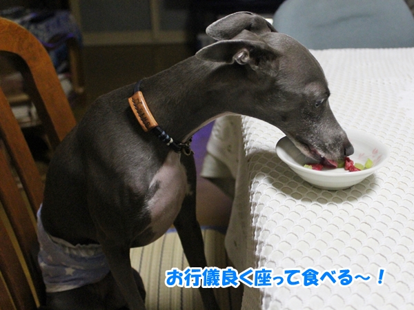 f:id:gino-ig:20160803002801j:plain