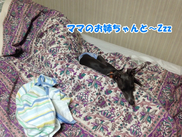 f:id:gino-ig:20160803002926j:plain