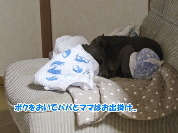 f:id:gino-ig:20160803003806j:plain