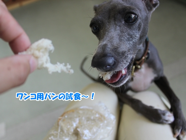 f:id:gino-ig:20160803004321j:plain