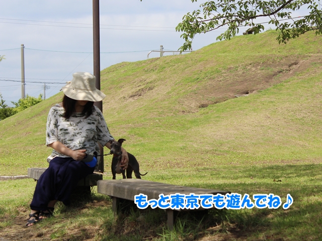 f:id:gino-ig:20160803235922j:plain