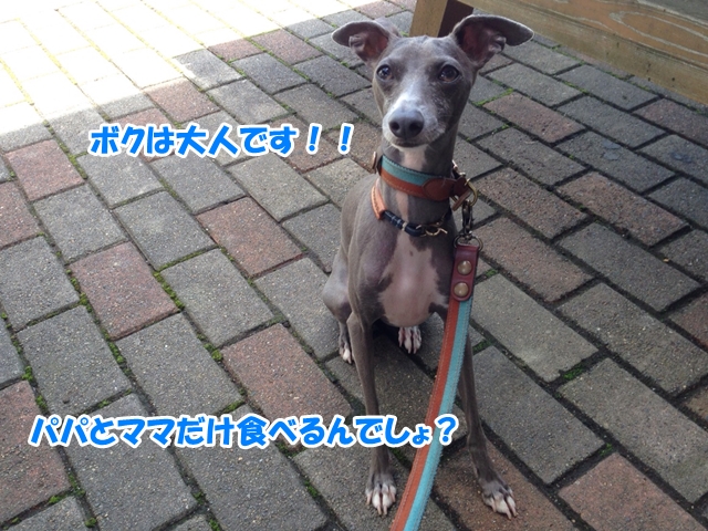 f:id:gino-ig:20160804001023j:plain