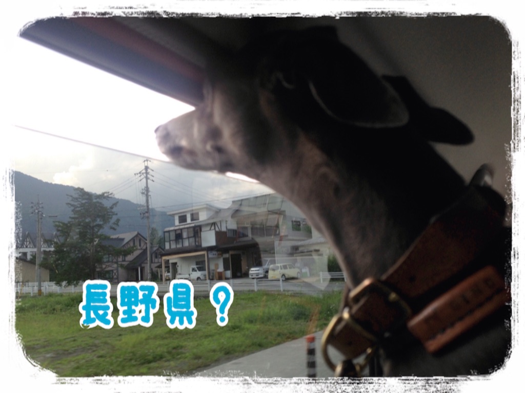 f:id:gino-ig:20160804233622j:image f:id:gino-ig:20160804233622j:image