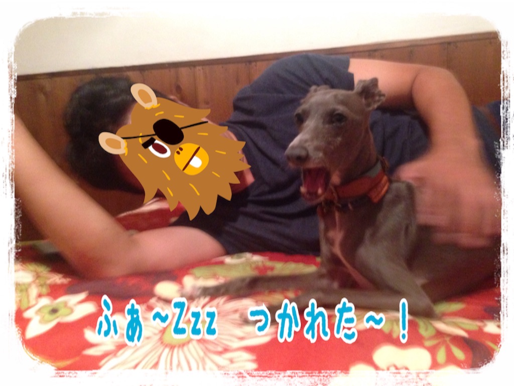f:id:gino-ig:20160804233843j:image f:id:gino-ig:20160804233843j:image