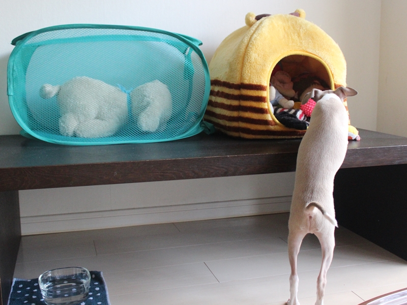 f:id:gino-ig:20160806234356j:plain