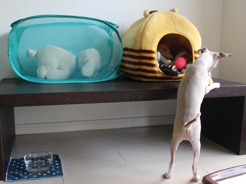 f:id:gino-ig:20160806234419j:plain