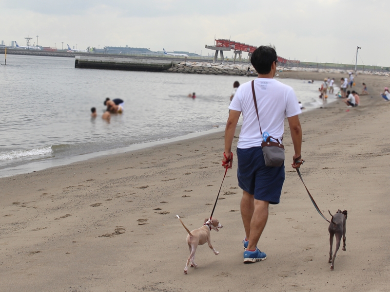 f:id:gino-ig:20160904224236j:plain