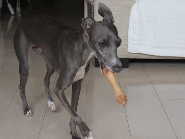 f:id:gino-ig:20160922224534j:plain