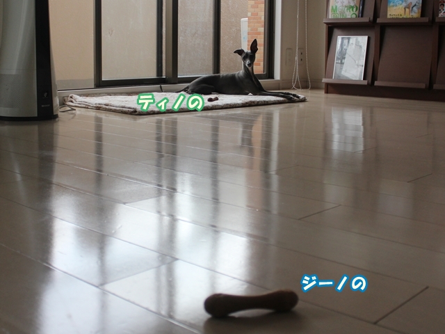 f:id:gino-ig:20160922230046j:plain