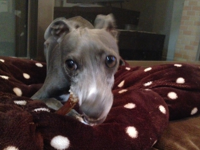 f:id:gino-ig:20161206220116j:plain f:id:gino-ig:20161206220116j:plain