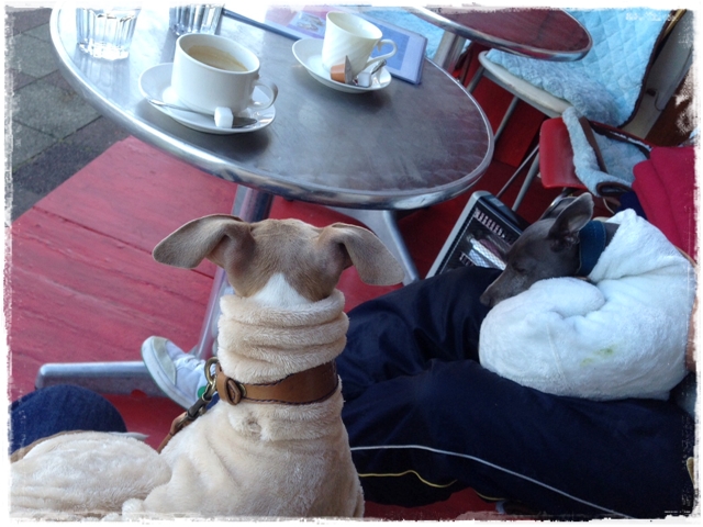 f:id:gino-ig:20161215233556j:plain