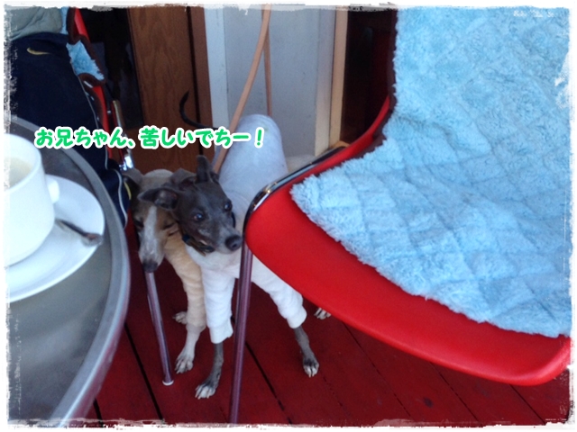 f:id:gino-ig:20161215233647j:plain