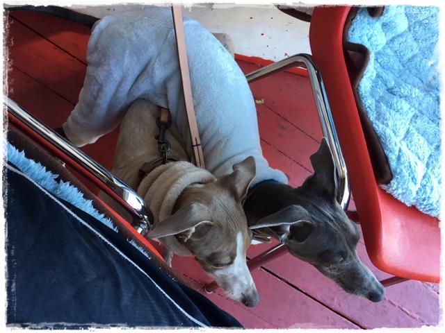 f:id:gino-ig:20161215233945j:plain