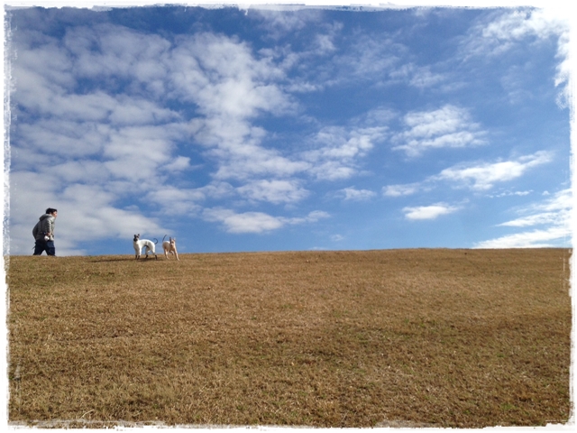 f:id:gino-ig:20161220214710j:plain