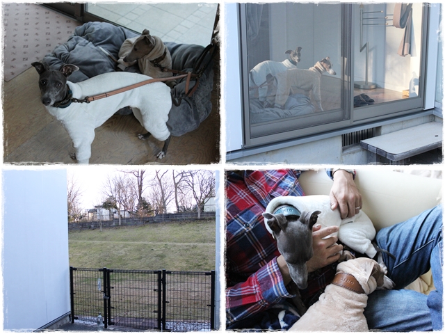 f:id:gino-ig:20161220230559j:plain