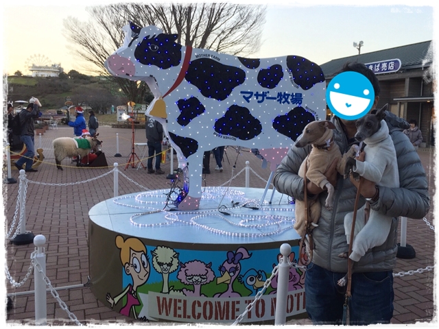 f:id:gino-ig:20161220230747j:plain