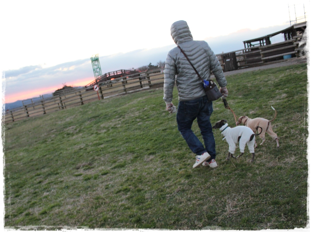 f:id:gino-ig:20161220231041j:plain