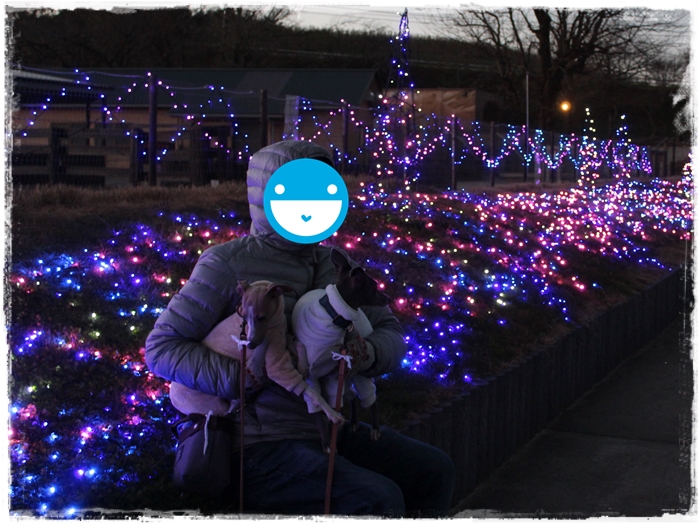 f:id:gino-ig:20161220231756j:plain