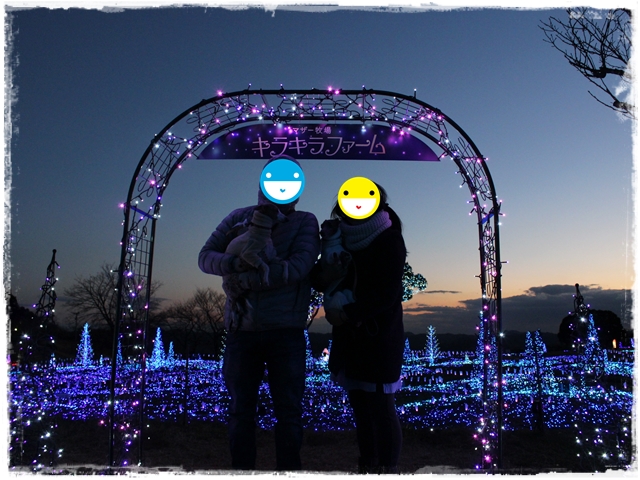 f:id:gino-ig:20161220232948j:plain