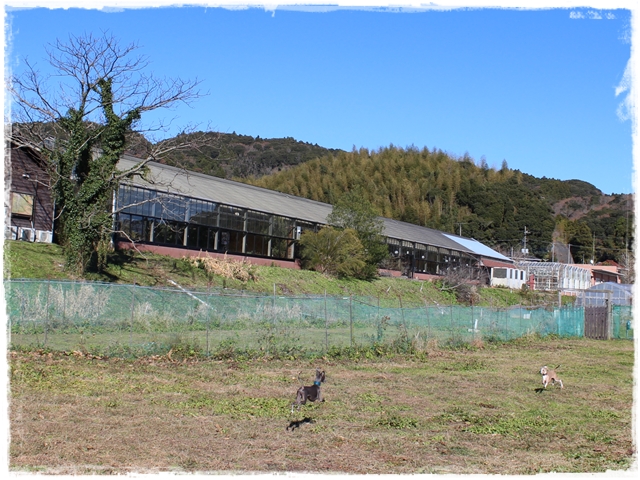 f:id:gino-ig:20161222234515j:plain