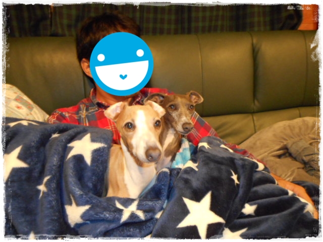 f:id:gino-ig:20161223000412j:plain